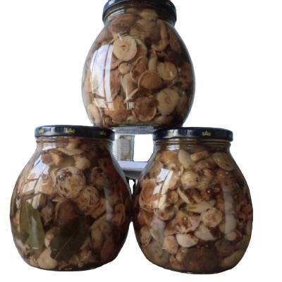 China Chinese canned wild canned suillus granulatus mushrooms pickled with good quality of fresh packed for sale