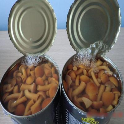 China New culture canned chinese pholiota nameko mushroom price for sale