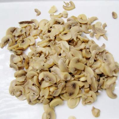 China Canned button mushroom slices of fresh canned champignon mushrooms in water for sale