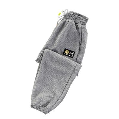 China Boys Summer Style Children Kids Waist Long Pants Unisex Regular Fit Straight Casual Elastic Elastic Loose Windproof Trousers for sale