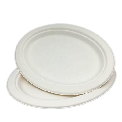 China Disposable Degradable Disposable Bagasse Pulp Dish Fiber Sugarcane Dish Oval Tray 9*6.5 10*8 12.5*10 Inch for sale