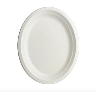 China Disposable Disposable Sugarcane Fiber Bagasse Dishes Food Serving Oval Dish For Party Dinner Restaurant for sale