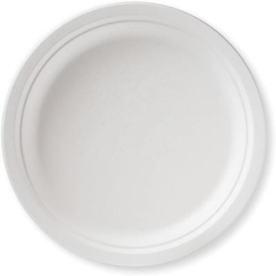 China Modern Compostable Natural Dish Plato Sugar Cane Bagasse Dish For Party Dinner Round Dish for sale