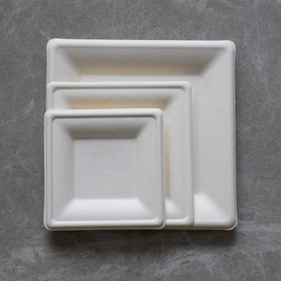 China Disposable Hot Selling White Sugarcane Fiber Bagasse Square Degradable Dish Tray Bagasse Trays With Good Quality for sale