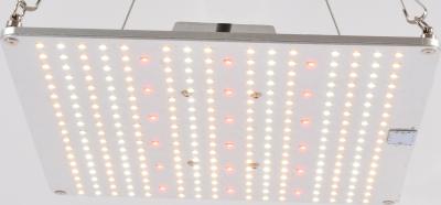 China 2.7umol UV LED Grow Lights 120W  Professional full spectrum lm301B led quantum board  for indoor greenhouse lighting for sale