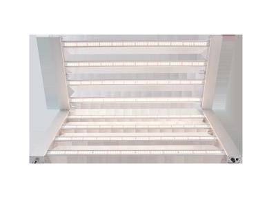 China Watt LED AC100V 2.9umol/J 600 wachsen Lichter zu verkaufen