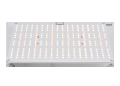 China la horticultura LED de 3500K AC85V crece luces en venta