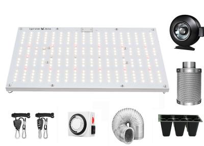 China El espectro completo 288PCS salta 120W Quantum crece luces en venta