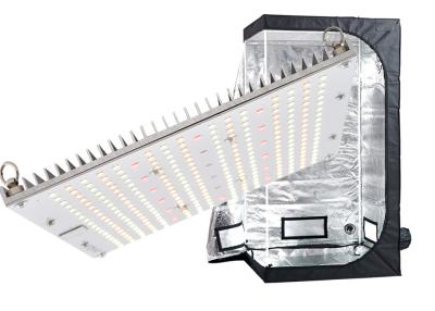 중국 대마씨를 위한 120W 삼성 LM301B 실내 약초원 빛 판매용