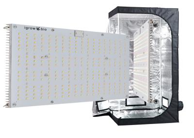 Cina Luce progressiva del bordo dell'UL 5000lm Diy Quantum per coltivazione in vendita