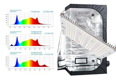 China 730nm 240W Geleide Veg groeien Licht met UVirl Te koop