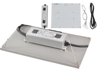 China El hidrocultivo 365nm 2.8kgs regulable LED del invernadero crece luces en venta