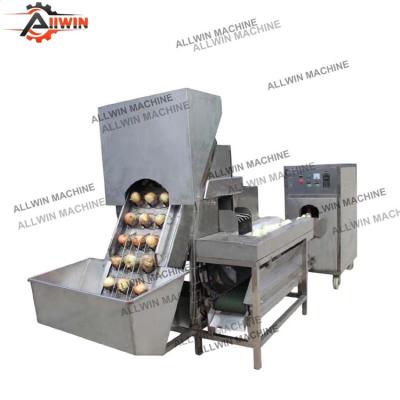 China High efficiency easy operate top and tail machine hot sale automatic industrial rooting peeling machine onion peeling and rooting machine commercial rooting machine for sale