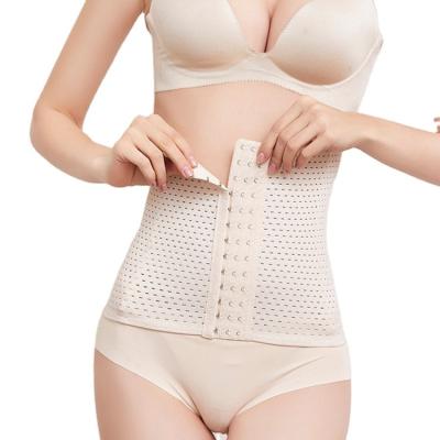 China QUICK DRY Type Trainer Belt Shapewear Set Waist Trainer Waist Trainer Body Shapers Material Synthetic Leather Dropshipping for sale