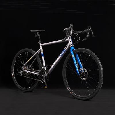 China Ride Road Bikes High Quality Zhongshan 700C * 40C 16 Speed ​​Man Aluminum Alloy Silver / Black Color Road Bicycles for sale