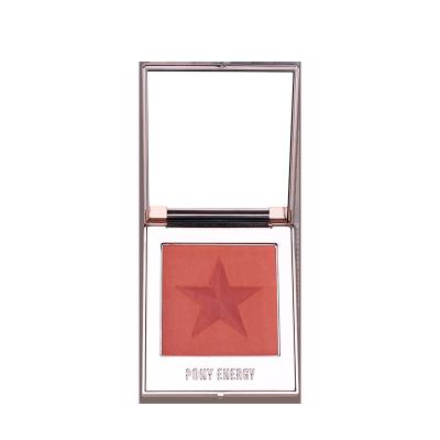 China Beginner Lady Cosmetics Powder Palette Waterproof Hot Selling Waterproof Makeup Blusher for sale