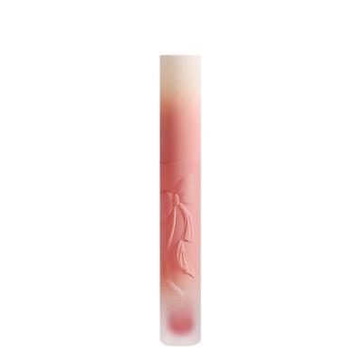 China 2021 Hot Waterproof Customize Lip Gloss Luxury Private Label for sale