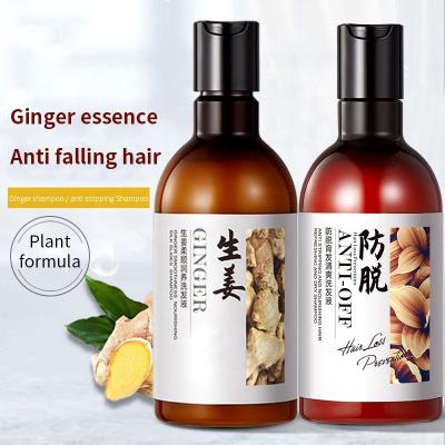 China Hot Selling 300ml Ginger Essence Anti Hair Loss Loss Prevention Shampoo For Women Hair Care for sale