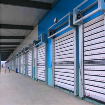 China Factory Price Modern Metal Spiral Door Hard Fast Rolling Roll Up Door for sale