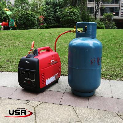 China dual fuel LPG generator and PETROL inverter type for homeuse 2kw EV20i-LPG220v 240v 110v 50Hz 60Hz EV20LPG for sale