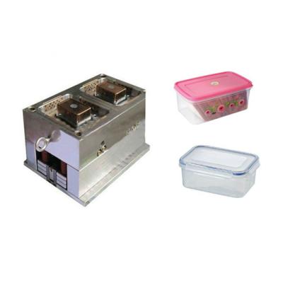 China Steel Food Container Piece Mould, Plastic Big Lock Clip Sealed Food Container Mold Design for sale