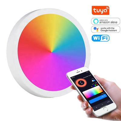 China Modern 18w 24w round mounted RGBW dimmable app dimmable wifi remote control frameless led ceiling light tuya smart panel light for sale