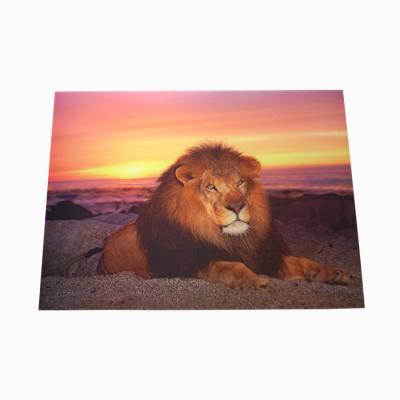 China Custom Printing Lenticular Animal 3d Picture From Europe Factory for sale