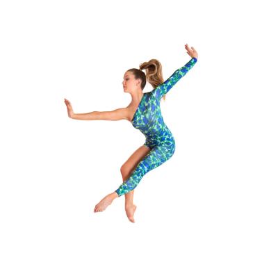 China Eco-friendly Blue Green Girls Unitard Ballet Contemporary Dancer Tights For Girls for sale