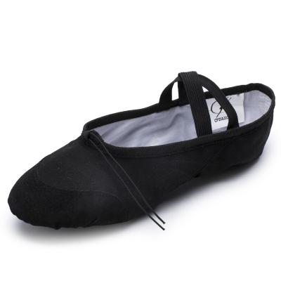 China 2021 Hot Sale Cheap Flat Ballet Eco-friendly Cat Claw Shoes Dance Shoes Spanish Dance Shoes for sale