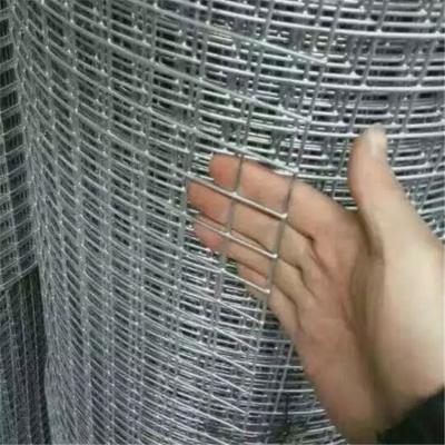 China Corrosion Resistance Factory Supply Direct Galvanized Stainless Steel Iron Welded Wire Mesh for sale