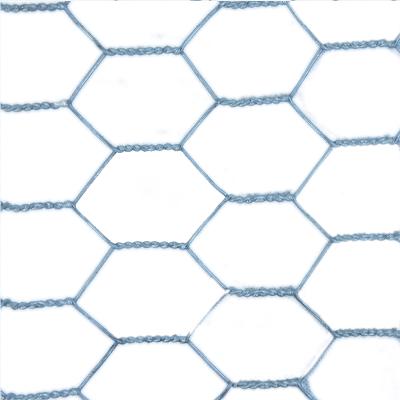 China Lowest Price Corrosion Resistance Double Twisted Hexagonal Chicken Hole Wire Netting for sale