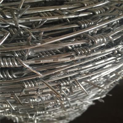 China Sharp Point With Zimbabwe Beasutiful Market Galvanized Barbed Type for sale