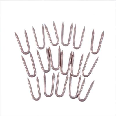 China Low Price Flat Fittings China Hardware Round Nail Steel Nails Stainless Galvanized Steel U Type Nails for sale