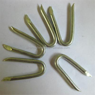 China Barrier Staple Best Price U Fence Staples Used for Wooden Post Barrier for sale