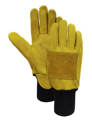 China Los guantes de la seguridad de la motosierra de EN388 3132X EN420 24m/S clasifican 2 para registrar en venta