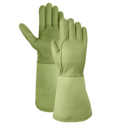 China Langes Leder Hysafety Rose Pruning Garden Gloves/Thorn Proof Work Gloves zu verkaufen