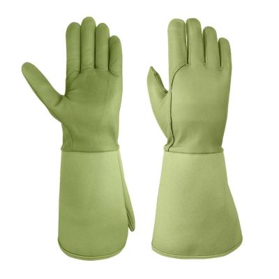 China thornproof Rose Pruning Garden Gloves zu verkaufen