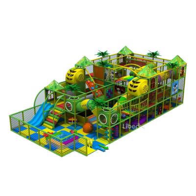 China Manufacturers Playground Wood Plastic Soft Indoor New Indoor Children's Playground Gymnasium Jungle Jungle Playground Commercial Equipment for sale