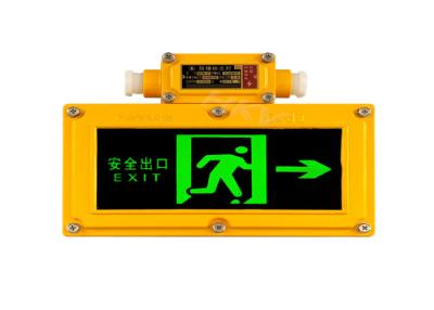 Cina Inizio protetto contro le esplosioni di emergenza della luce di emergenza di illuminazione automatica 0.3S in vendita