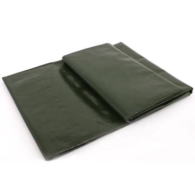 China water resistant pe tarpaulin pe tarpaulin waterproof pe tarpaulin for truck cover for sale