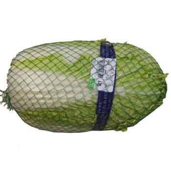 China Tubular Fexibale pe net net in roll packing garlic mesh bag potato packing knitted polietileno malla rollos packing vegetable for sale