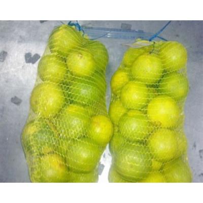 China Custom Fexibale Potato Net Raschel Net Fruit Drawstring Vegetable Packing Mesh Bag for sale