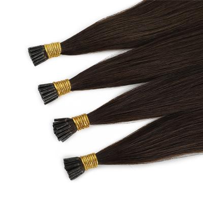 China No Chemical Top Graduate Prebonded Colored Hair Extension I Tip Indian Hair for sale