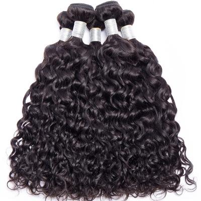 China 9A Water Wave Water Wave Hair Bundles Brazilian Hair Weave Bundles For Colored Women Remy Hair Extension for sale