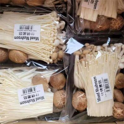 China Fresh China Sale Mixed Mushrooms including shiitake Enoki Eryngii shimeji for sale