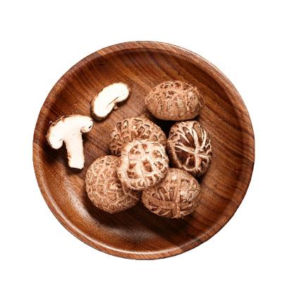 China Fresh High Quality China Fresh Mushrooms Best Sale Vacuum Packed Fresh Flower Shiitake for sale