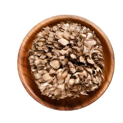 China Pure Natural Healthy Fresh Original Maitake Fresh Food for sale