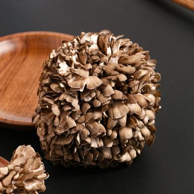 China Farm Fresh Natural Healthy Nutritious Mushroom China Tasty Fresh Raw Mushroom Maitake for sale