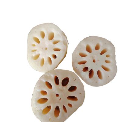 China Fresh All Season Provided Fresh Lotus Root China Vegetable Vacuum Packing for sale