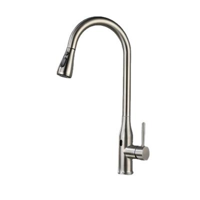 China Custom Hidden Spray Pull Out Faucet Stainless Steel Sprinkler Mixer Tap Pull Down Kitchen Faucet for sale